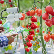Smart Farming: A Sustainable Solution to Climate-Driven Food Insecurity